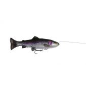 Rainbow Trout